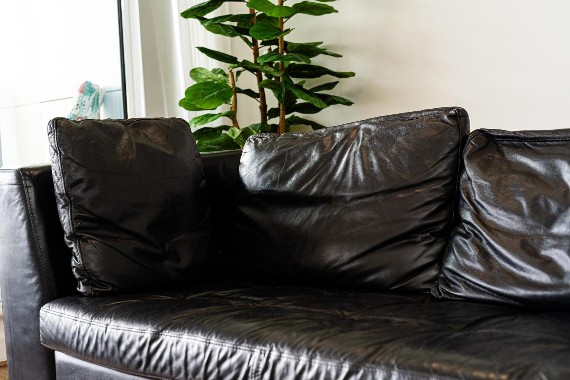 Excel London Majestic Apartment Dış mekan fotoğraf